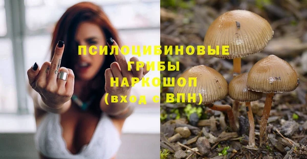 спайс Вязьма