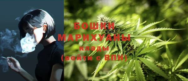 винт Горняк